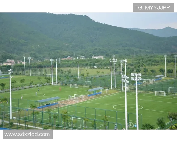 足球明星全景展示平台汇聚全球顶尖球员信息与动态